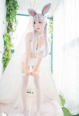 全集免费播放_1080天堂在线